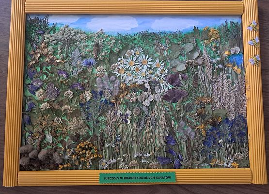 miejsce I Grafika Wyniki konkursu „Łąka jak z obrazka – zielnik rodzinny”