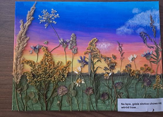 Wyróżnienie Grafika Wyniki konkursu „Łąka jak z obrazka – zielnik rodzinny”