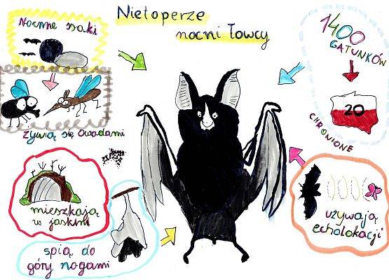 Grafika Konkurs „Skrzydlata grafonotka” rozstrzygnięty!