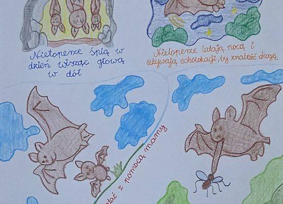 Grafika Konkurs „Skrzydlata grafonotka” rozstrzygnięty!