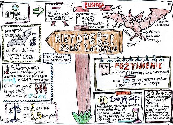 Grafika Konkurs „Skrzydlata grafonotka” rozstrzygnięty!