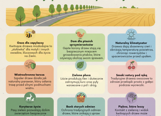 Grafika Nowe nasadzenia drzew w Błądzikowie!