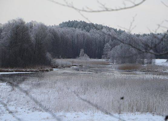 Jezierznia. fot. M. Greinke Widok na jezioro Jezierznia w zimowej okrywie.