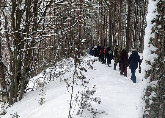 Śnieżny krajobraz, las, ludzie idący gęsięgo, ubrani w zimowe stroje.