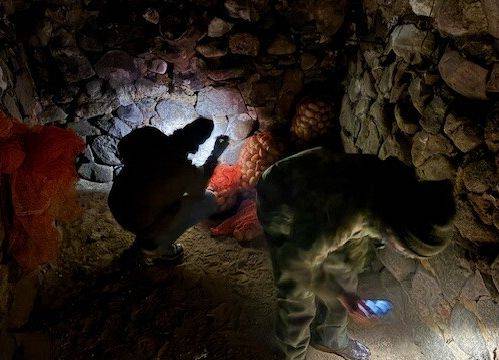 Grafika Monitoring zimujących nietoperzy w PKDS, 2026 r.