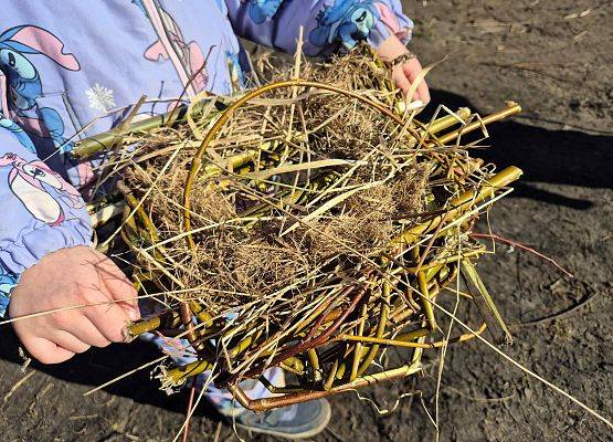 Zbliżenie na małe gniazdo dla gołębia.