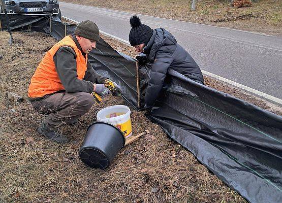 Pracownicy Parku montują materiał blokujący przejście płazów na drogę.