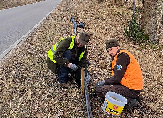 Pracownicy Parku montują materiał blokujący przejście płazów na drogę.