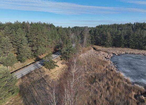 Widok z lotu ptaka na drogę oraz zbiornik wodny - miejsce rozrodu płazów.