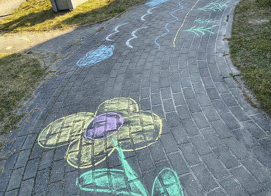 Grafika Czysta Rzeka - Czysta Każa i Chałupy - podsumowanie akcji