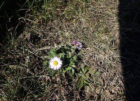 Grafika Czysta Rzeka - Czysta Każa i Chałupy - podsumowanie akcji