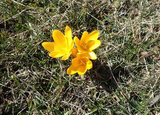 Grafika Czysta Rzeka - Czysta Każa i Chałupy - podsumowanie akcji