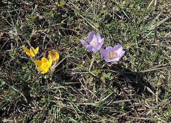 Grafika Czysta Rzeka - Czysta Każa i Chałupy - podsumowanie akcji