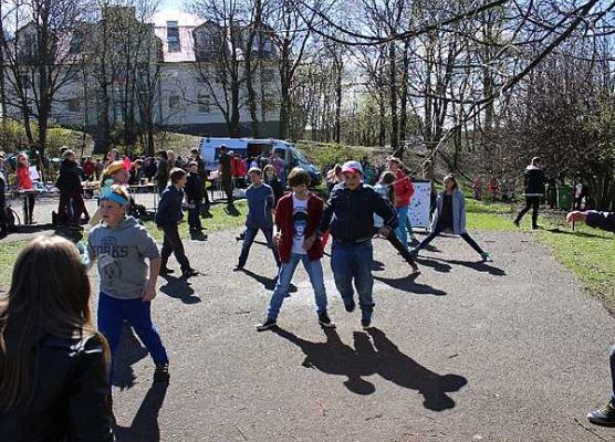 Grafika Bocian biały na Dniu Ziemi w Kościerzynie