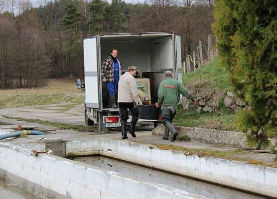Grafika Zarybianie na akwenach Wdzydzkiego Parku Krajobrazowego