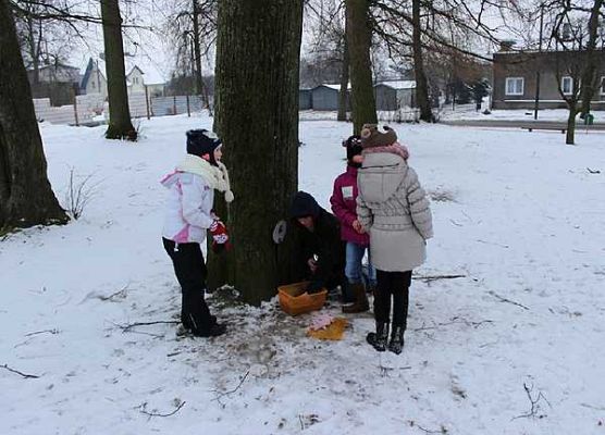 Grafika Ferie z Wdzydzki Parkiem Krajobrazowym