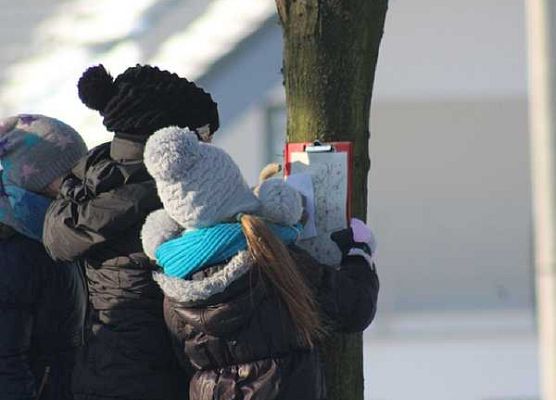 Grafika Ferie z Wdzydzki Parkiem Krajobrazowym