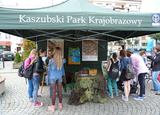 Grafika I Festyn Ekologiczny w Kartuzach