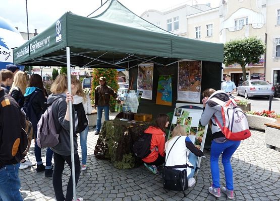 Grafika I Festyn Ekologiczny w Kartuzach