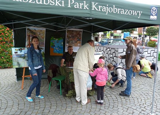 Grafika I Festyn Ekologiczny w Kartuzach
