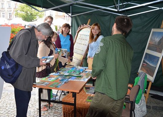 Grafika XV Targi Książki Kaszubskiej i Pomorskiej "Costerina"