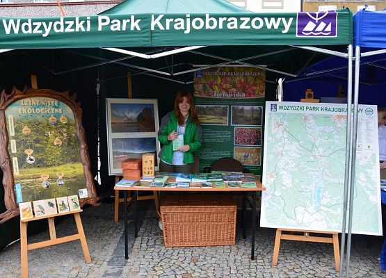 Grafika XV Targi Książki Kaszubskiej i Pomorskiej "Costerina"