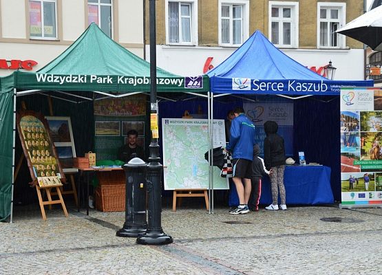 Grafika XV Targi Książki Kaszubskiej i Pomorskiej "Costerina"