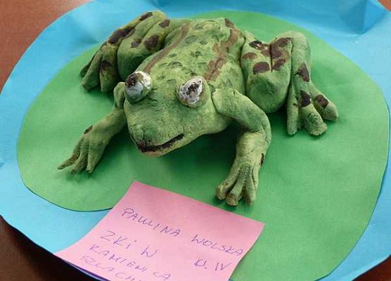 Grafika Wiosenne Warsztaty Przyrodnicze