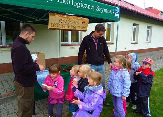 Grafika III Majówka entomologiczna