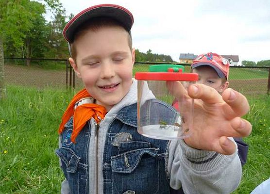 Grafika III Majówka entomologiczna