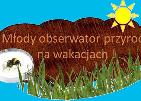 Grafika Młody obserwator przyrody na wakacjach