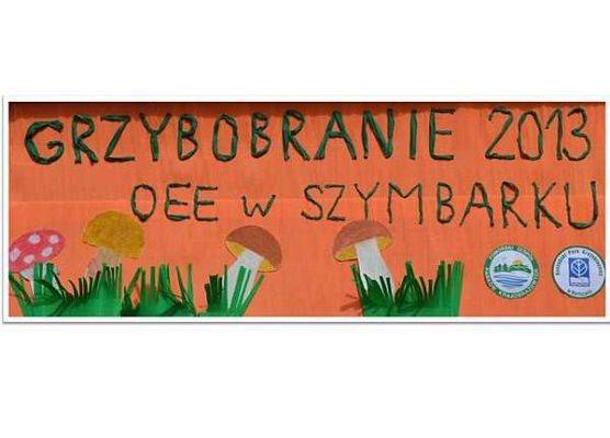 Grafika „Grzybobranie”