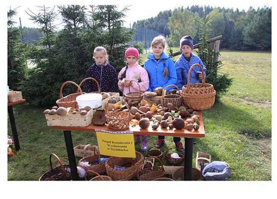Grafika „Grzybobranie”