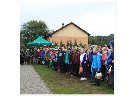 Grafika „Grzybobranie”