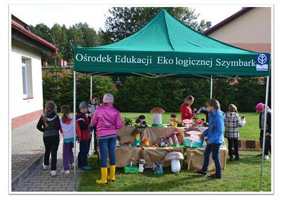 Grafika Wyniki „Powiatowego konkursu na wykonanie rzeźby grzyba”