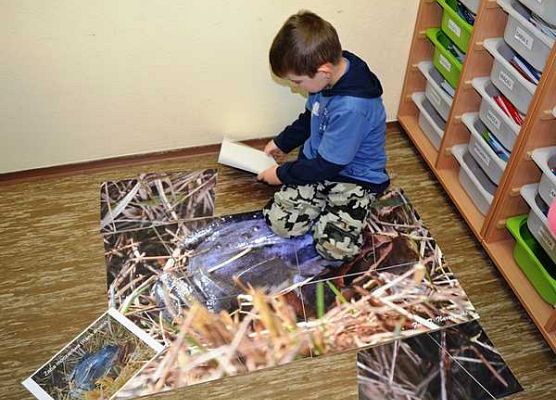 Grafika Warsztaty herpetologiczne 2013-podsumowanie