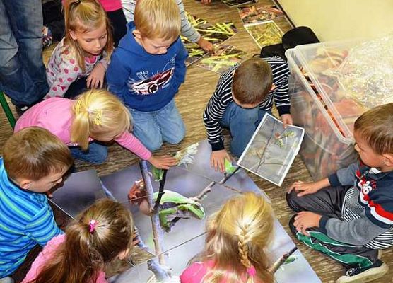 Grafika Warsztaty herpetologiczne 2013-podsumowanie