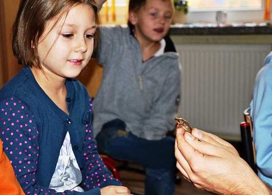 Grafika Warsztaty herpetologiczne 2013-podsumowanie