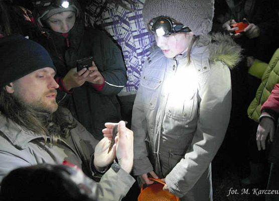 Grafika „Rodzinne warsztaty herpetologiczne”