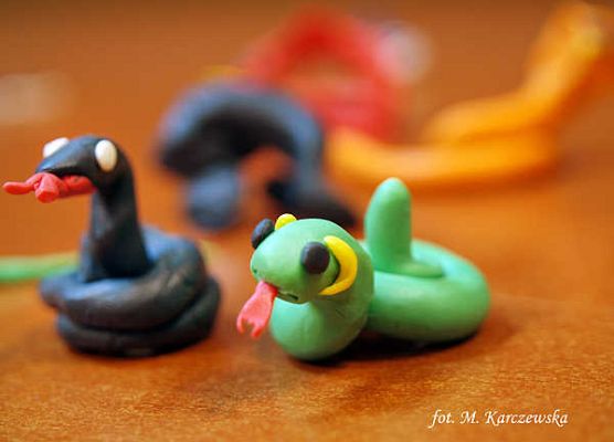 Grafika „Rodzinne warsztaty herpetologiczne”