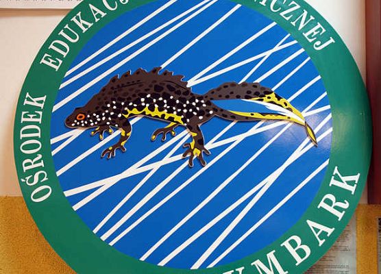 Grafika „Rodzinne warsztaty herpetologiczne”