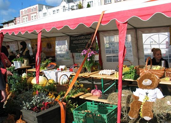 Grafika IX Kartuski Targ Produktów Ekologicznych
