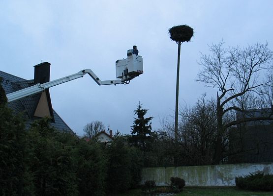 Grafika Poprawa dobrostanu bociana białego