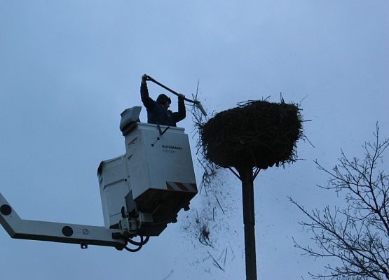 Grafika Poprawa dobrostanu bociana białego
