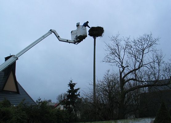 Grafika Poprawa dobrostanu bociana białego