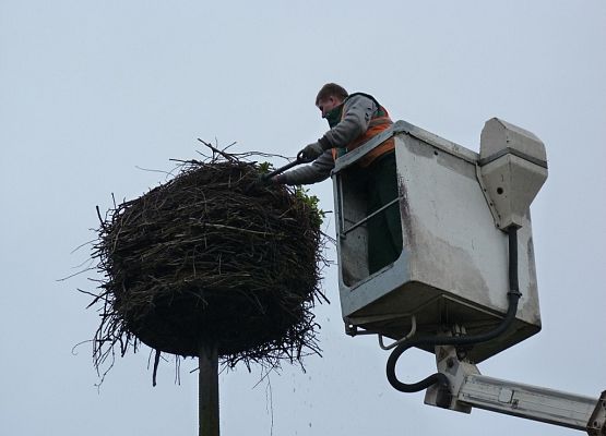 Grafika Poprawa dobrostanu bociana białego