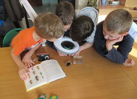 Grafika Ferie w Kaszubskim Parku Krajobrazowym