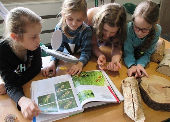 Grafika Ferie w Kaszubskim Parku Krajobrazowym