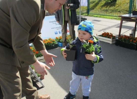 Grafika Drzewko za makulaturę