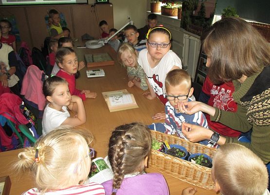 Grafika Cykl spotkań z przyrodą w Kaszubskim Parku Krajobrazowym